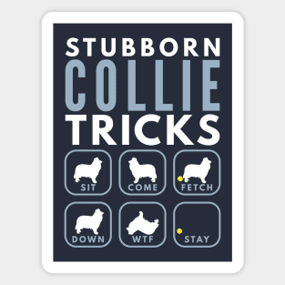 Stubborn Rough Collie Tricks - Dog Training Magnet